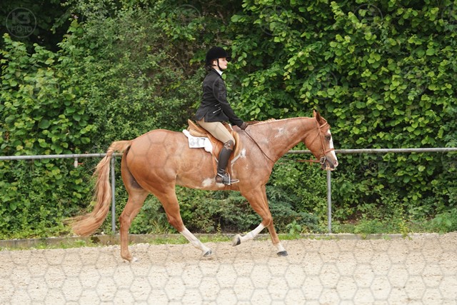 sA9K00098.JPG